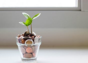 Scelta conveniente ed ecologica