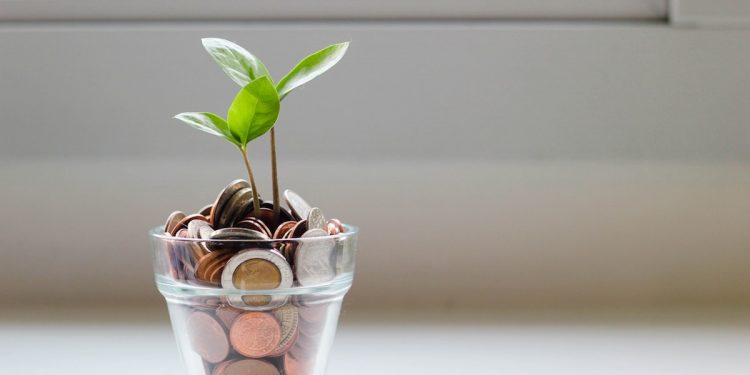 Scelta conveniente ed ecologica