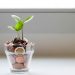 Scelta conveniente ed ecologica