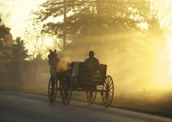 Carrozza