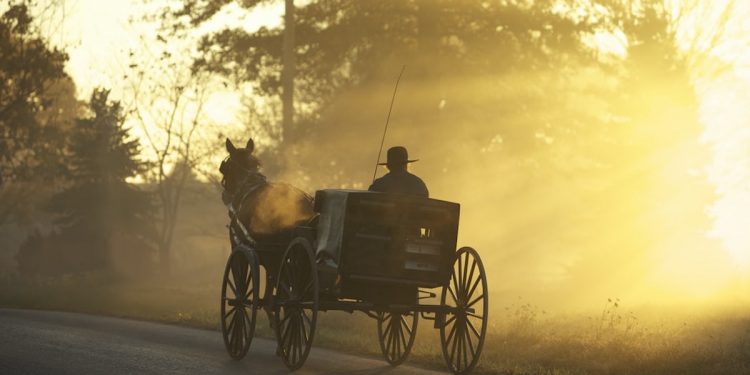 Carrozza