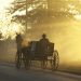 Carrozza