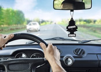 Quell’alberello profuma le nostre auto