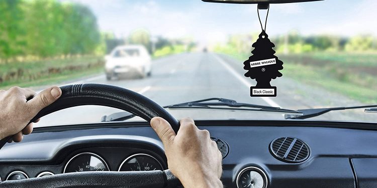 Quell’alberello profuma le nostre auto