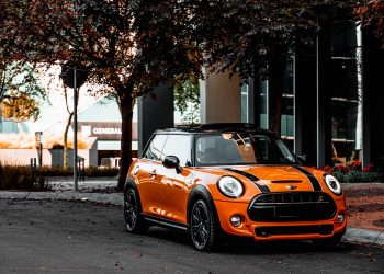 Pelle addio, Bmw e Mini passano agli interni vegani