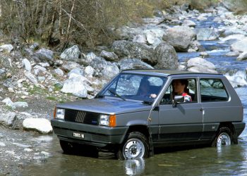 Una panda è per sempre non passa mai di moda