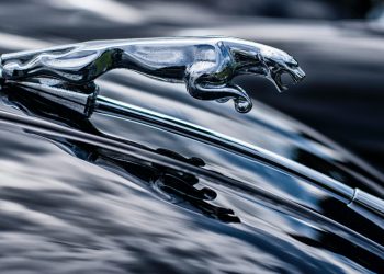 La generazione Z sempre più attratta dalle auto elettriche