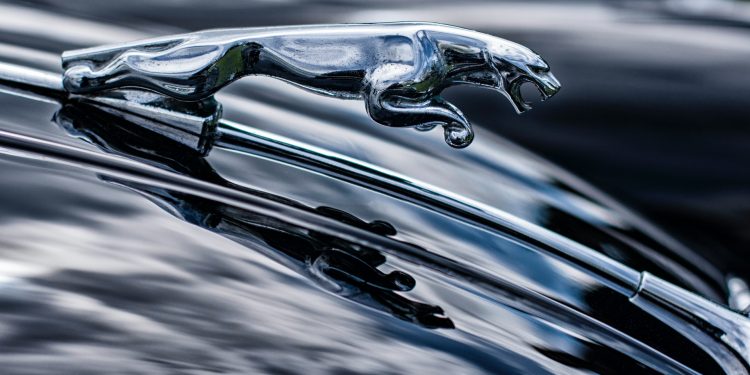 La generazione Z sempre più attratta dalle auto elettriche
