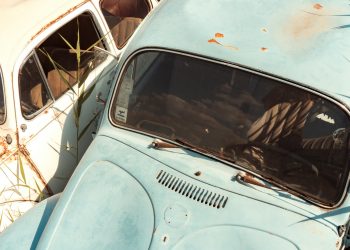VIAGGIO NEL 2025 DELL’AUTO TRA CINA, TRUMP E L’EUROPA